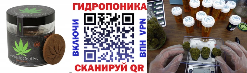 Canna-Cookies марихуана  Ставрополь 