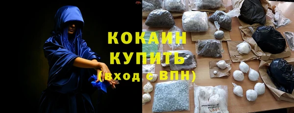 индика Алексин