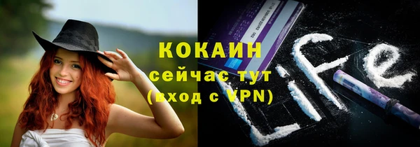 сатива Алексеевка