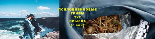 сатива Алексеевка