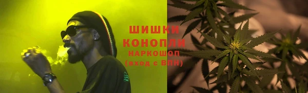 сатива Алексеевка