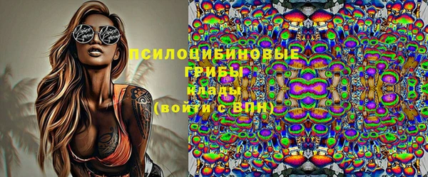 сатива Алексеевка