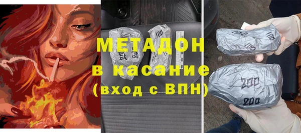 индика Алексин