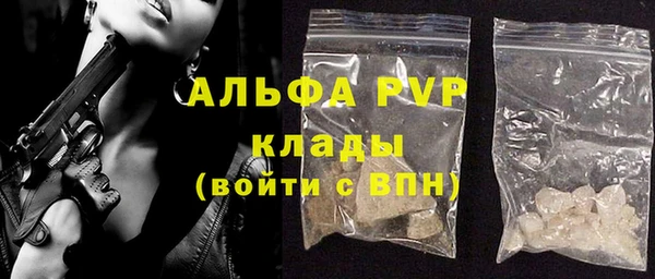 индика Алексин