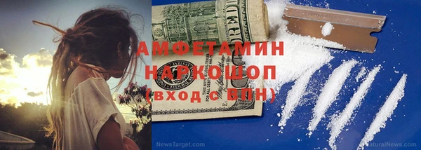 индика Алексин