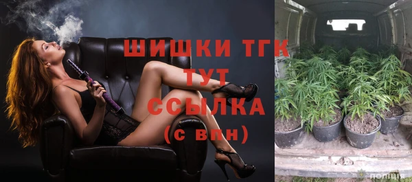 сатива Алексеевка